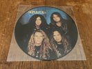 SEPULTURA Live At Zeleste Barcelona Spain 1991 12