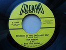 HOP WILSON 45 'ROCKING IN THE COCANUT TOP' USA GOLDBAND ROCKABILLY BLUES BOPPER