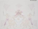 Bonnie `Prince` Billy Best Troubador Two VINYL LP Used 2017 Palace Records