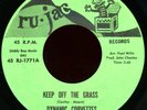 DYNAMIC CORVETTES Keep Off The Grass 45 Ru-Jac Rare 1971 Baltimore Funk M-