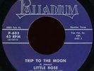 LITTLE ROSE Trip To The Moon 45 Palladium Rare 1975 Texas Psych Funk
