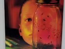 ALICE IN CHAINS Jar Of Flies / SAP 1994 1st Press ETCHED Columbia C2 57804 NM/NM