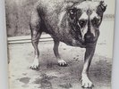 ALICE IN CHAINS 1995 Self Titled 1st Press 2LPs Columbia C2 67248 NM Precision