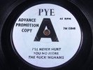 1965 MOD BEAT   BUCKINGHAMS [UK Group]   She Lied   NR MINT   PYE 7N 15848