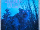 HUNGRY WOLF s/t 1970 UK PHILIPS 1st press barely played vinyl, super copy VG+/NM