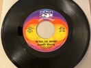 Danny White  Natural Soul Brother SSS International 7