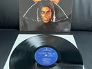 DOORS-RAY MANZAREK/The golden scarab -Vinyl:NM/Cover:EX - 1st.D Press 1974
