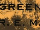 R.E.M. - Green - 1800 gram Remastered Vinyl Record LP