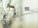 RECOIL - Liquid - Vinyl (2xLP)