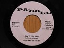 Count and The Colony rock garage 45 Can't You See bw That's The Way on Pa Go Go
