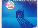 BLUE FEATHER SHADOWS OF THE NIGHT INJECTION DISCO DANCE 634017 85.HOLLAND LP
