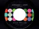 MODERN SOUL-WALES WALLACE-SOMEBODY I KNOW/TALK A LITTLE LOUDER-BRC 101