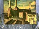 Pink Floyd  - Animals (1977) Prog Rock EMI-Bovema Holland Records LP Vinyl Album