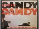 The Jesus And Mary Chain 