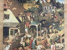 Fleet Foxes ' Fleet Foxes ' Vinyl LP / EP / All Media US 2008 Sub Pop SP 777