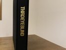 Third Eye Blind Vinyl Box Set