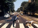 2 LP 33 Paul McCartney – Paul Is Live USA & Europe 2019 Capitol Records Beatles