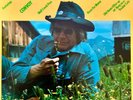 C.W. McCall C.W. McCalls Greatest Hits CRC NEAR MINT Polydor Vinyl LP