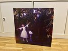 Wolf Alice - Visions of a Life - Signed LP
