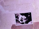 Fleetwood Mac–Tusk (2-LPs), 1979 Warner Bros. N.MINT+/MINT (In Shrink )