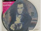 DEAD OR ALIVE BRAND NEW LOVER EPIC 105P450 JAPAN PICTURE VINYL VINYL 7