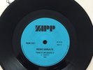 REINCARNATE - Take It Or Leave It” - RARE -  7 inch record single