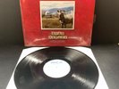 The Tragically Hip Road Apples vinyl LP  1991 Original Indie Rock EX/NMint