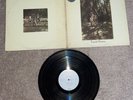 VAN MORRISON - Tupelo Honey (Promo) - 12