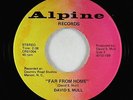 Psych Folk Outsider 45 - David S. Mull - Far From Home - Alpine - VG++ obscure