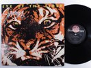 SURVIVOR Eye Of The Tiger SCOTTI BROTHERS LP NM/VG++ b