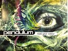 Pendulum  Hold Your Colour 3 x LP Album vinyl record limited ed reissue 2018
