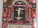DECEMBERISTS-WHAT A TERRIBLE WORLD-CAPITOL RECORDS B002212001-STICKER-SEALED-LP