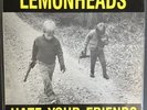 The Lemonheads 'Hate Your Friends' '87 Vinyl LP Taang  Records Punk Slapshot SSD