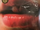 Dax Riggs - We Sing of only Blood or Love LP 2007 Fat Possum [Signed by Dax] NEW