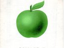 APPLE LABEL 1975 12 Page  CATALOGUE   VERY RARE - BEATLES/IVEYS etc