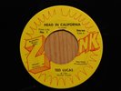 Ted Lucas Michigan garage rock 45 Head In California bw My Dog on Zonk