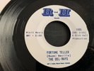 THE DEL-RAYS..FORTUNE TELLER.. SUPERB RARE USA ISSUE SINGLE..R AND H...1005