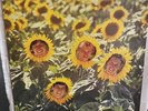 Sunnyboys-Individuals-White Label Test/First Pressing-Never Played.