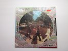 THE BEATLES ABBEY ROAD PICTURE DISC DRILL HOLE VINYL RECORD ALBUM