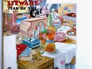 AL STEWART - Year Of The Cat - Vinyl LP 1st Press Record 1976 Janus JXS-7022