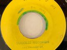RUPIE EDWARDS / BOB ANDY - FALLING IN LOVE / WAY I FEEL 45 1968 JA SUCCESS BLANK
