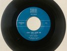 Little Sammy DOOWOP 45 Can You Love Me / Papa Did The Chicken SHADE VG++/M- HEAR