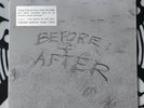 Neil Young - Before And After (New & Sealed Vinyl)