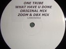 One Tribe (2) - What Have U Done, 12