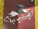 Lovejoy – Are You Alright? / Pebble Brain Not On Label Anvil Cat Minecraft Vinyl