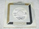 The Mamas And The Papas - California Dreamin' - Dunhill D-4020 - PROMO / M-