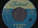ROYALS: are you forgetting / what did i do FEDERAL 7