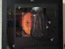 Alice In Chains Jar Of Flies Vinyl Boxset Brand New Layne Staley Jerry Cantrell