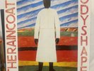The RAINCOATS - ODYSHAPE (1981) ORIGINAL VINYL LP Excellent Condition FirstPress