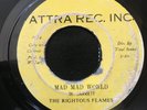 The Rightous Flames 